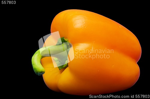 Image of Paprika