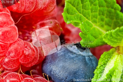 Image of Blueberry and rasperry with mint leaves