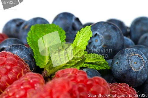 Image of Blueberry and rasperry with mint leaves