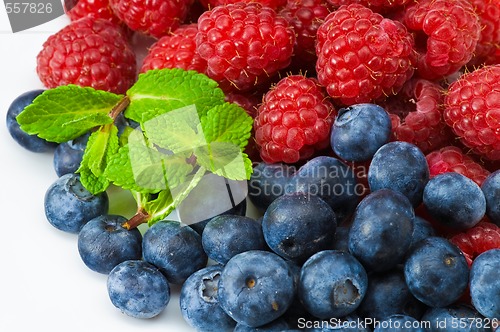 Image of Blueberry and rasperry with mint leaves