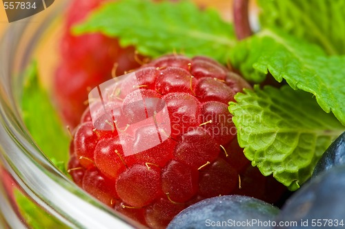 Image of Blueberry, ruspberry and mint leaves