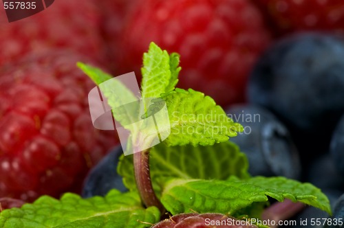 Image of Blueberry, ruspberry and mint leaves