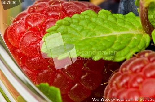 Image of Raspberry and blueberry 