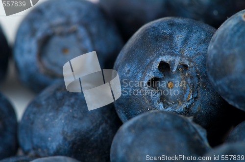 Image of Blueberry 