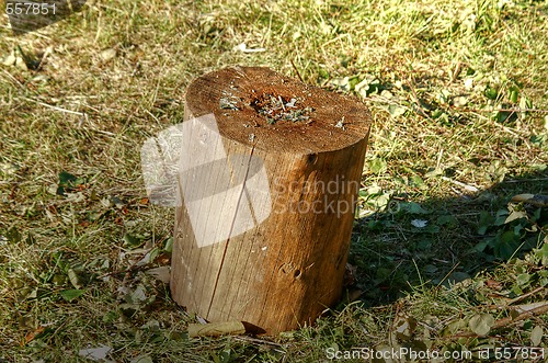 Image of Wooden block