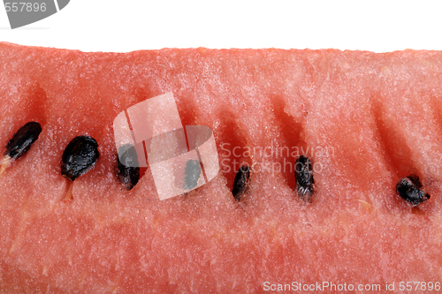 Image of Close up photo of Water melon