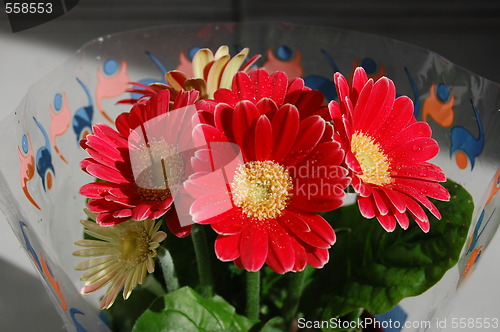 Image of red flowers
