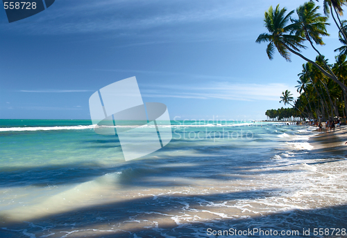 Image of Tropical beach in Brazil 