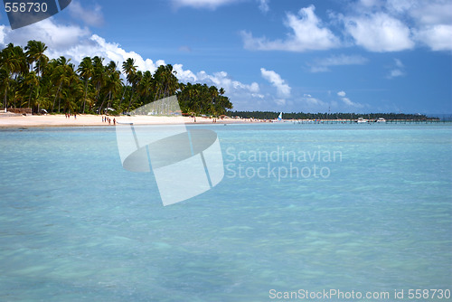 Image of Tropical beach in Brazil 