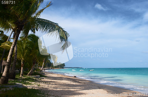 Image of Tropical beach in Brazil 