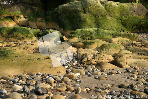 Image of Beach Scene