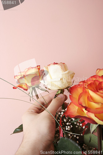 Image of Love flowers