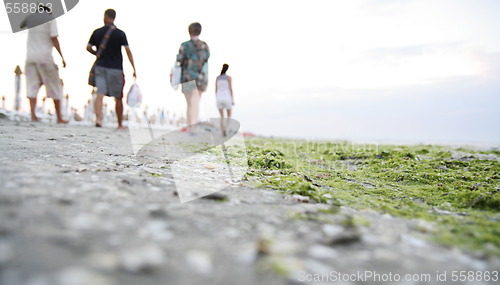 Image of Summertime at the beach.