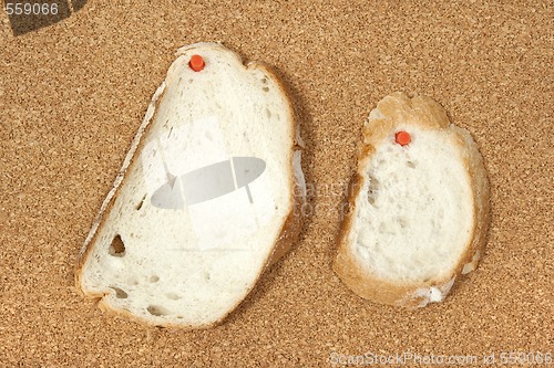 Image of Two slices of bread pinned to corkboard