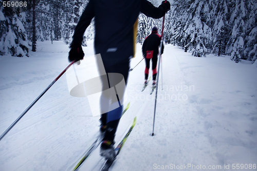 Image of skier in a winter forest