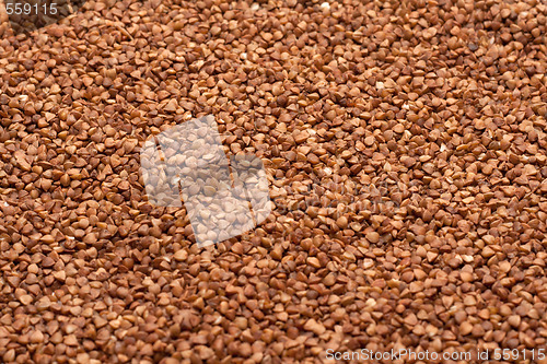 Image of Buckwheat, background