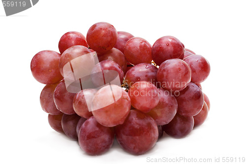 Image of Berries of grape