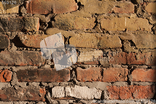 Image of Brick wall