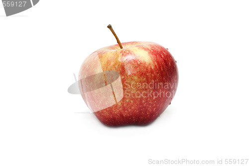 Image of Red apple