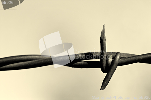 Image of barbed wire monochrome