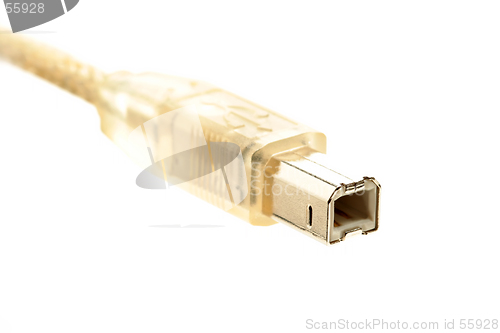 Image of usb macro over white