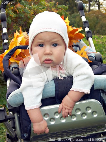 Image of autumn stroll