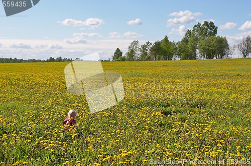 Image of little child among flowers