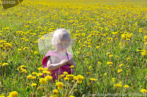 Image of little child sitting among dandelions