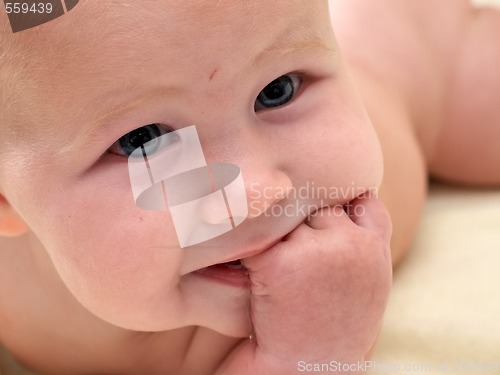 Image of baby portrait