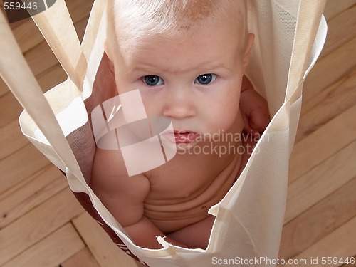 Image of baby in bag