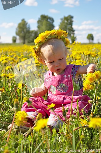 Image of little girl on dandelion meadow