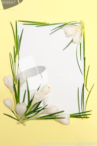 Image of Spring flowers frame