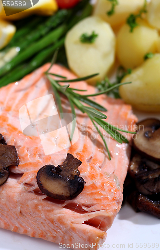 Image of salmon and vegetables close-up