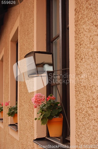 Image of Window-mirror 