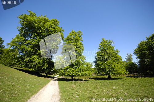 Image of Nature
