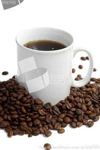 Image of Fresh Coffee