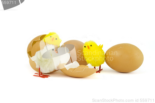 Image of Three Easter chicks