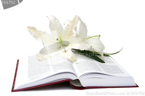 Image of Bible