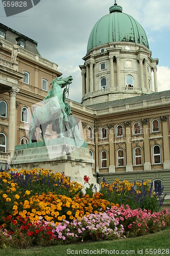 Image of Royal Castle - Budapest