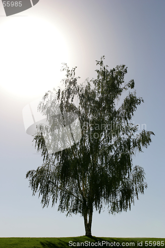 Image of solitude against the sun