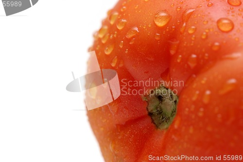 Image of tomato with water droplets
