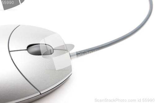 Image of mouse