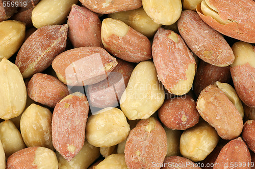 Image of Roasted Peanut Seeds
