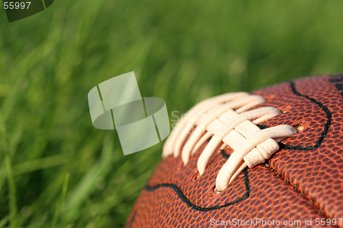 Image of football in the grass