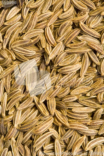 Image of Caraway Seeds