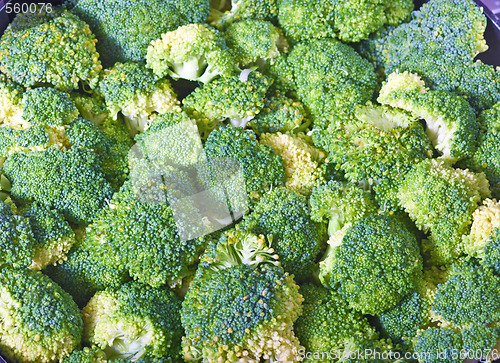 Image of Broccolli background