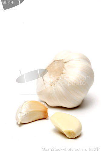 Image of garlic over white