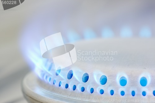 Image of Flames of a gas stove