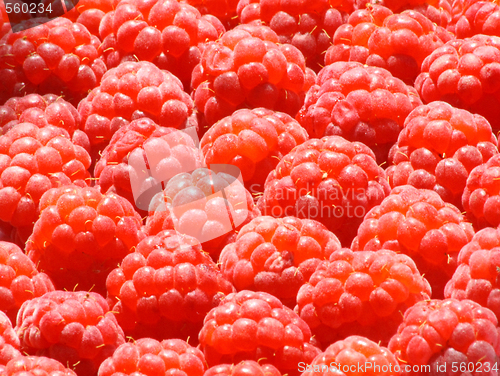 Image of Raspberry