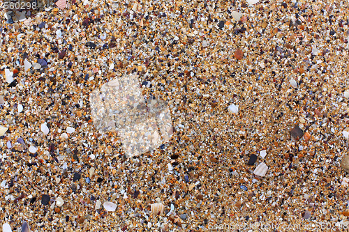 Image of Sea sand